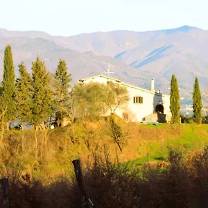 Felciolina - Medieval Troghi